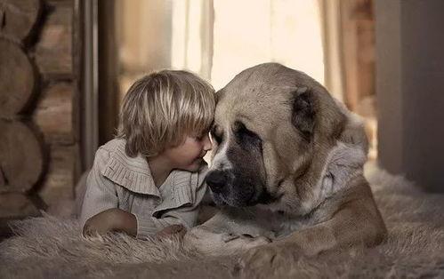 娱乐吃瓜酱妈妈的宠物,揭秘宠物界的明星生活